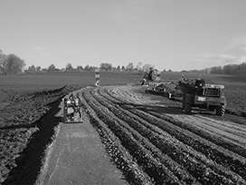 Evocrete - Rehabilitation of a district road in Unterlunkhofen